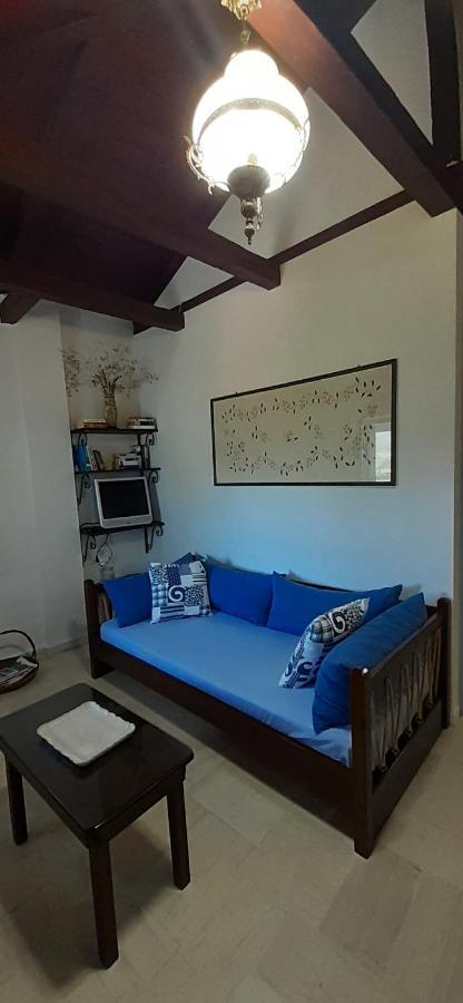 Appartement Petrinο Katochori à Katokhórion Extérieur photo