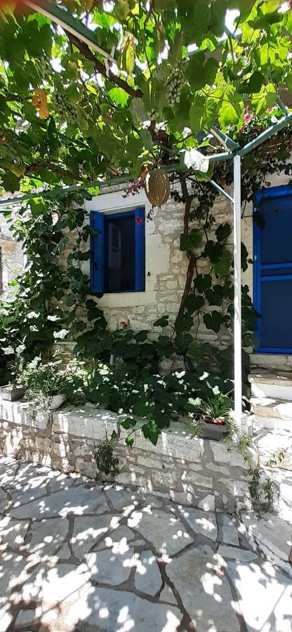 Appartement Petrinο Katochori à Katokhórion Extérieur photo